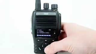 Как настроить Wi-Fi для PoC-радиостанции Entel DN495
