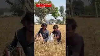 गेहूं चोरी 😮#comedy #trending #ankit
