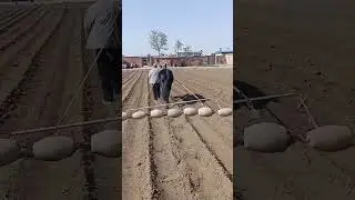 Molded farmland drainage ditch | pro tools that 10X your efficiency!