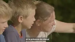 Haras du Pin - tourisme