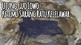 Explore Goa Lowo Trenggalek Full Sampai Pusat Sarang Kelelawar