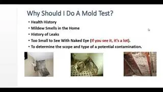 Mold Inspection and Testing
