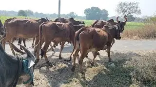स्टॅलिन ला अगोदर च औषध चालू आहे. 31 December 2025
