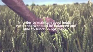 Chakra Balancing - (678) 629-3630