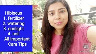 🌻10 Tips & Tricks to Grow Hibiscus Flowers|evergreen garden