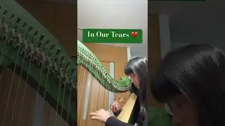In Our Tears by Secret Garden harp cover #hkharpist  #harpisthk #harphk #hkharp #secretgarden