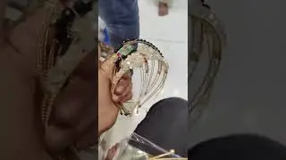 Punjab Shopping Centre Chamkila colour wala