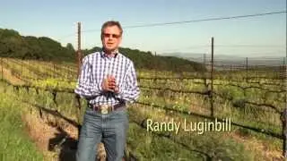 Landmark Vineyards Grower Video: Rodgers Creek Vineyard