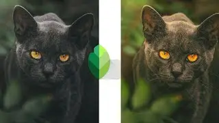 Snapseed - DRAMATIC Photo Effect in snapseed