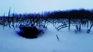 Creepy Snow Landscape - Optical Error - Horror Loop | Free Download
