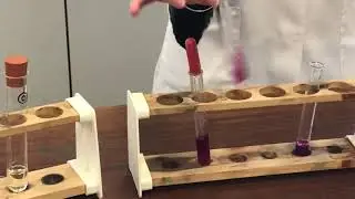 Year 13 Benzene vs Cycloalkene reactions