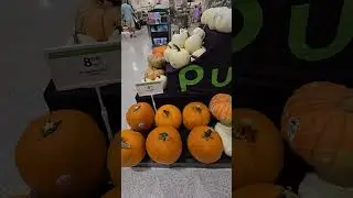 Урожай тыквы Цены на тыкву #america #food #pumpkin