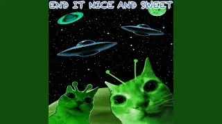 Cat Energy Right Now