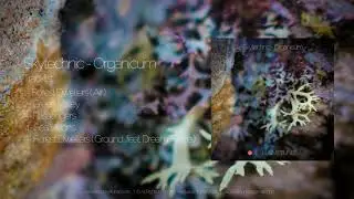 Skytechnic - Green Valley