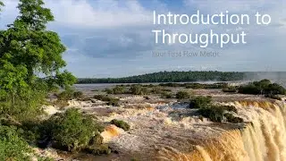 Introduction to Throughput