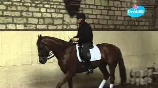 Equitation - Le reculer