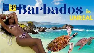 BARBADOS TRAVEL VLOG | The Best of Barbados In 3 Days | BIRTHDAY Trip 🇧🇧