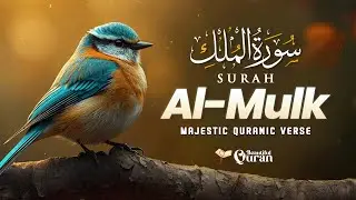 Surah Al Mulk سورة الملك | Peaceful Lofi Quran Recitation for Ultimate Sleep | #lofiquran