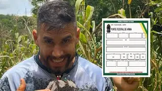 Autoriza&ccedil;&atilde;o pra ter arma de press&atilde;o?
