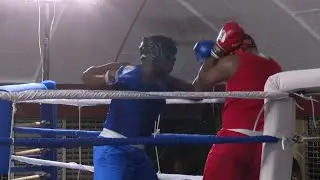 Boxing makes its grand return