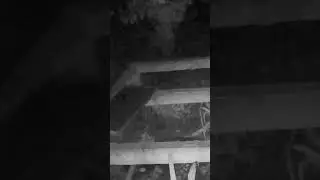 #videosterror#terrorymisterio #miedoreal #fantasma