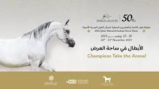 28th Qatar National Arabian Horse Show (Day4)