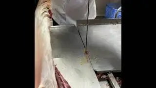 Lamb cutting machine. Butchery work . How to cut lamb .