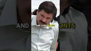 Cartel Takedown: DEA&rsquo;s Massive 2025 Drug Bust | Criminal Canvas