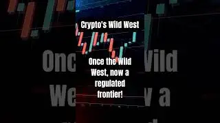 Is crypto a Wild West story?