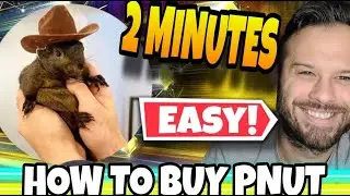 How To Buy PNUT! The Easiest Place To Buy PNUT For The 2025 Bull Run!