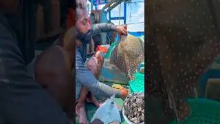 Deep Sea Delicacy: Fisherman&rsquo;s Boat Kitchen Adventure💢‼️