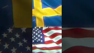 Sweden vs USA #shorts