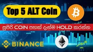 Top 5 ALT Coins / top 5 crypto currency/ Cryptocurrency Sinhala