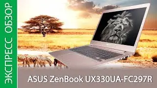 Экспресс-обзор ноутбука ASUS Zenbook UX330UA FC297R