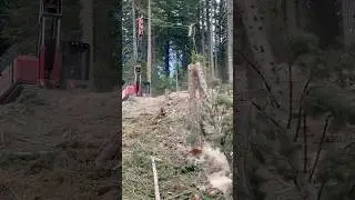 Summit SY50 Swing Yarder, Pulling Logs! 🌲 #Logging #equipment #Timber