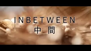 INBETWEEN  /  中 間