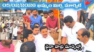 05/02/2026 khammam mirchi market price khammam mirchi market today #dharalu #mirchi#mirchiratetoday