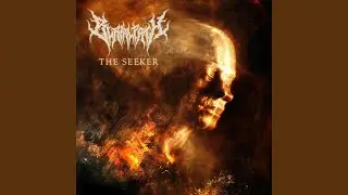 The Seeker