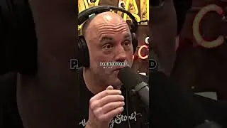 Joe Rogan Reacts to Viral Tiger Shark Attack 🦈