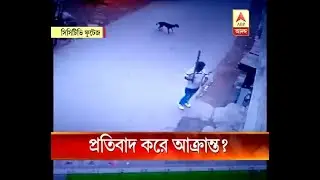 TMC member allegedly assaulted by party Councillor for protesting anti-social activities b