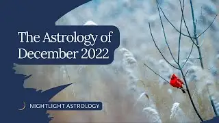 The Astrology of December 2022