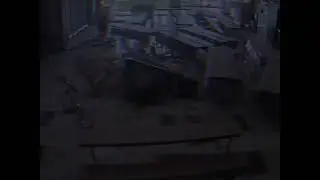 Bros playing Fnaf in real life