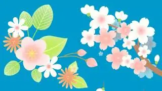 flowers background free