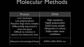 Molecular Identification: Species, Individuals and Sex