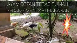 Mansyur S Full Album Terbaik || Lagu Dangdut Terbaik Mansyur S - Dangdut Lawas Nostalgia