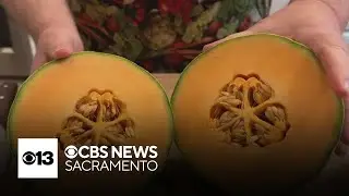 Produce deals of the week | Your Produce Man