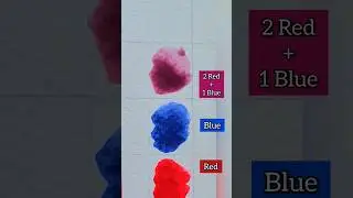 Color Tournament of  RED and BLUE to create purple shades  #shorts #art #shortvideo #colors