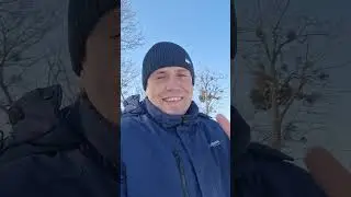 Обрізка ЯБЛУНІ і як боротися з вертикальними гілками