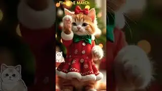 Christmas Cat #newsong #producer #music #punjabisong