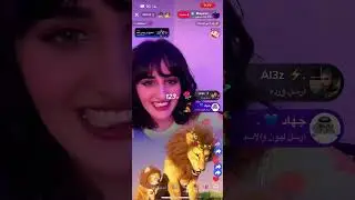 ١١ فبراير، ٢٠٢٣